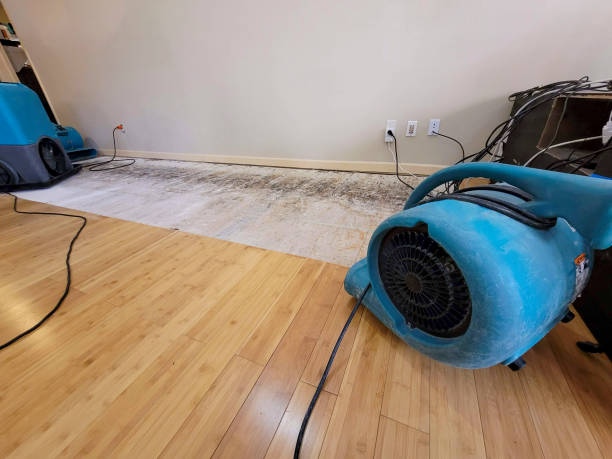 Professional Water Extraction technician working in Mount Hope, NJ